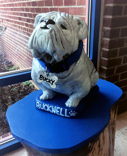 Photograph of the Bucky the Bulldog mascot statue from our 2014 to 2015 yearbook. The bulldog stands with its head upraised. It has a blue collar around its neck. The bone-shaped tag on color has the name Bucky printed on it. The statue sits on a blue base with the name Bucknell and a paw print painted it in white. 